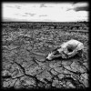 25 признаков приближения ужасающего водного кризиса глобального масштаба