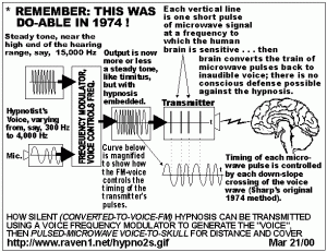 Как Блю Бим воздействует на мозг. Схема была разработана еще в 70-е годы!.