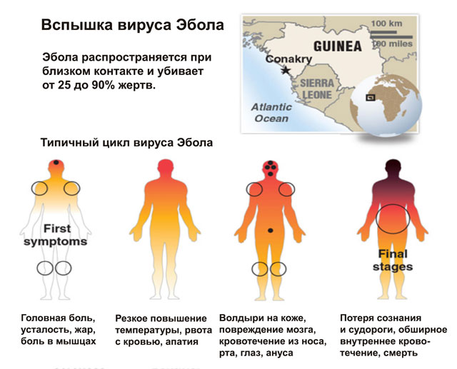 вирус эбола уничтожает мир
