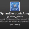 Сирийская электронная армия взломала доменный регистр «Твиттера»