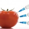 ГМО поможет исчезновению жизни на планете